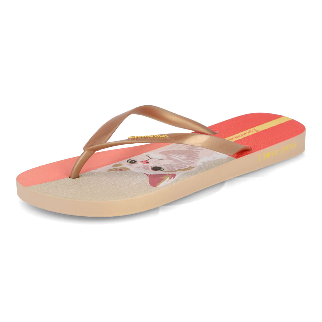 Grendene Chinelo 27005-BH198 Bege-Ouro-Rosa Borracha_5_999999992649917_01